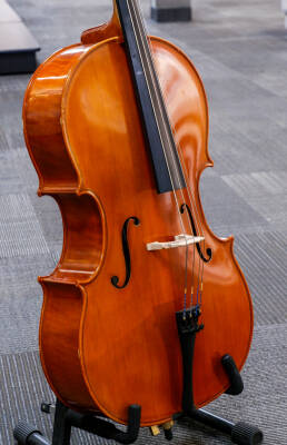 Eastman Strings - VC100 1/4 Cello Outfit